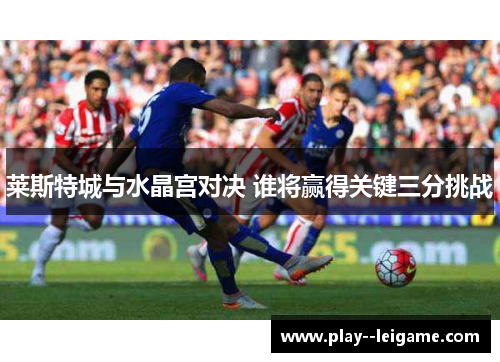 莱斯特城与水晶宫对决 谁将赢得关键三分挑战 莱斯特城与水晶宫对决 谁将赢得关键三分挑战