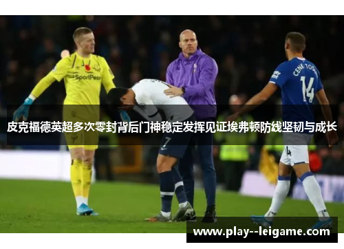 皮克福德英超多次零封背后门神稳定发挥见证埃弗顿防线坚韧与成长 皮克福德英超多次零封背后门神稳定发挥见证埃弗顿防线坚韧与成长
